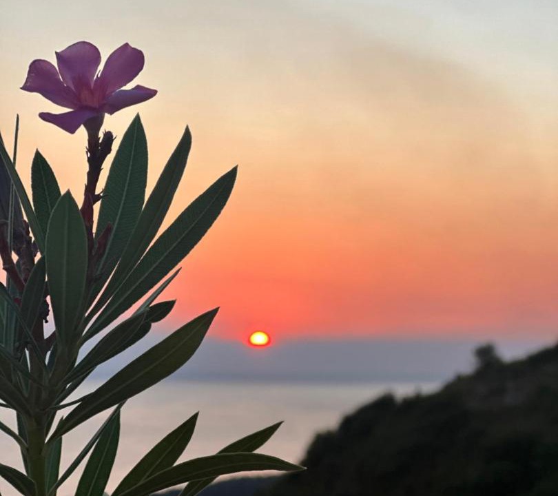 Photo of Others in Dhermi