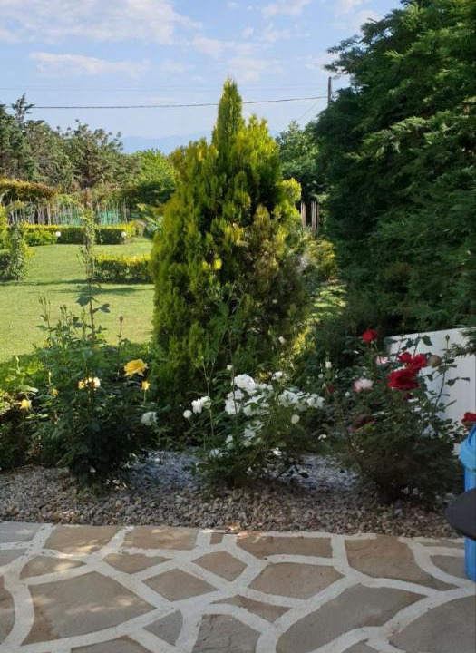 Photo of Others in Alexandroupoli