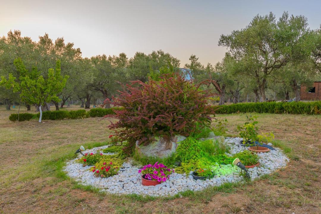 Photo of Others in Alexandroupoli