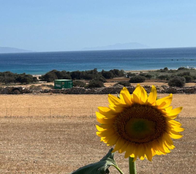 Photo of Others in Naxos