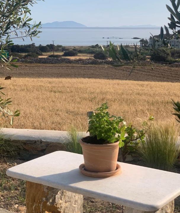 Photo of Others in Naxos
