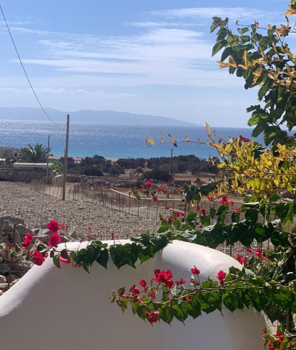 Photo of Others in Naxos