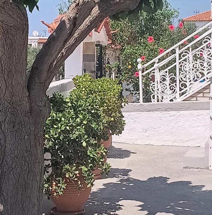 Photo of Others in Elafonisos