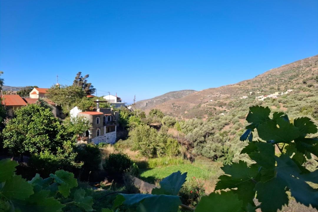 Photo of Others in Livadia