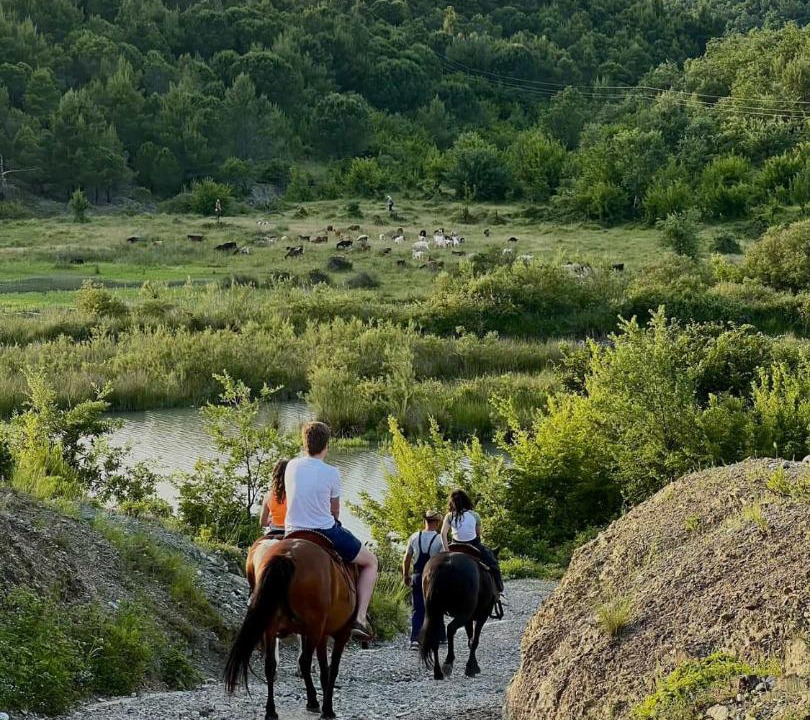 Photo of Others in Sakës