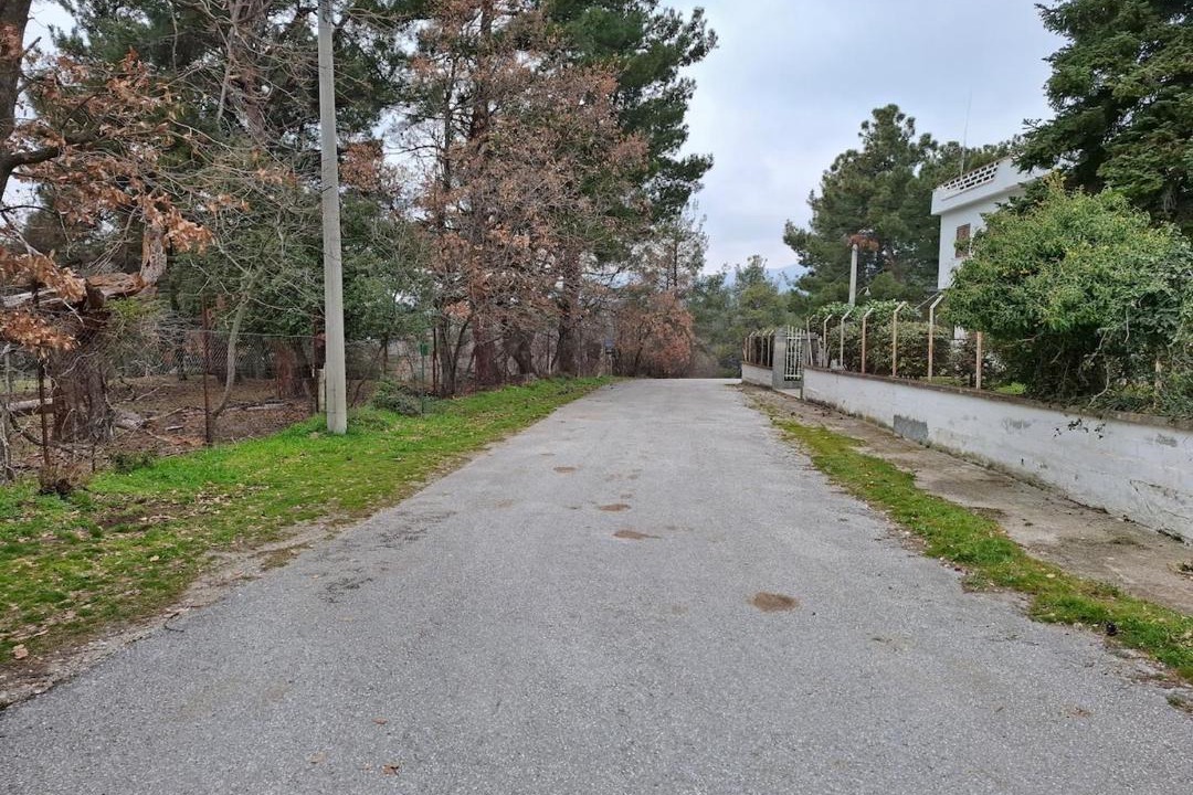 Photo of Others in Serres