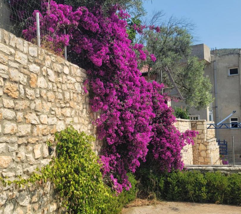 Photo of Others in Sarande
