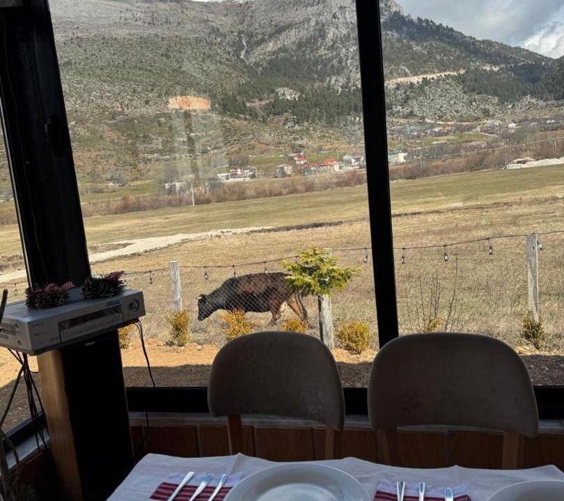 Photo of Others in Diber