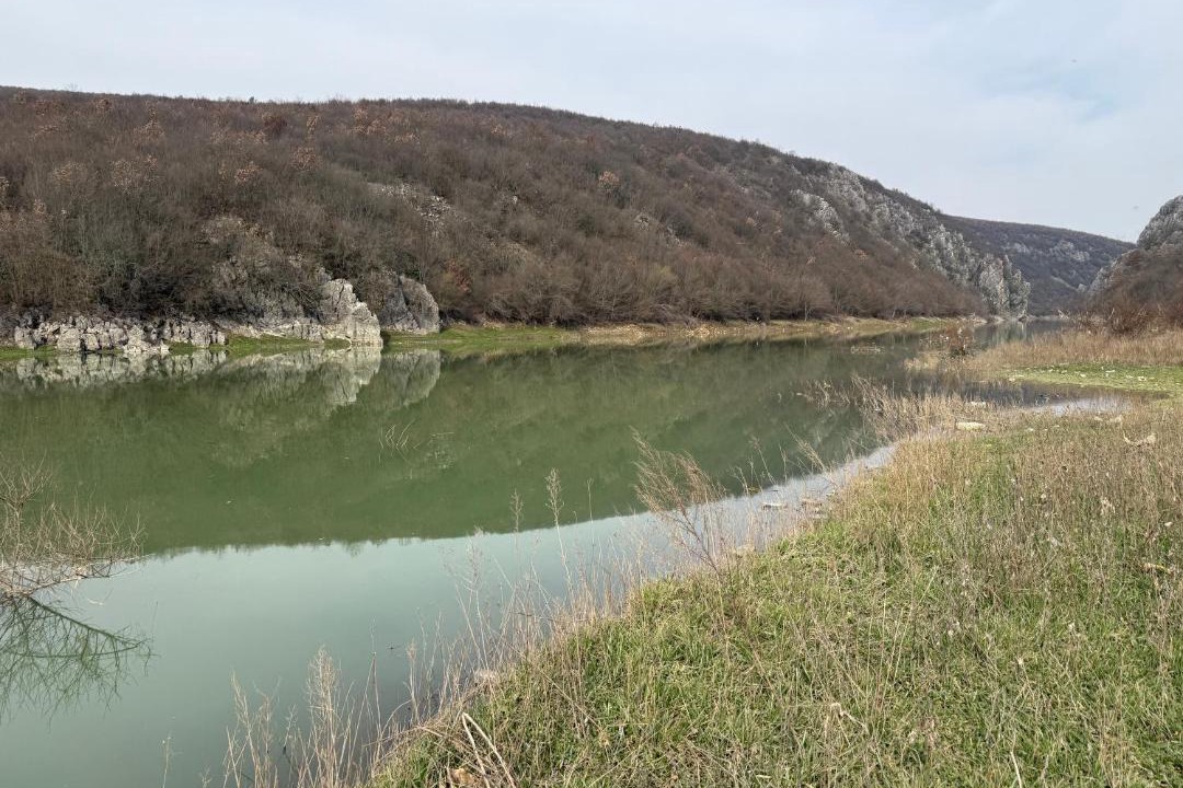 Photo of Others in Lubizhdë