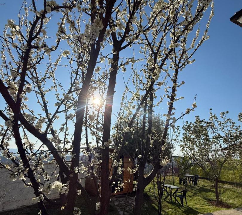 Photo of Outdoor in Kruje