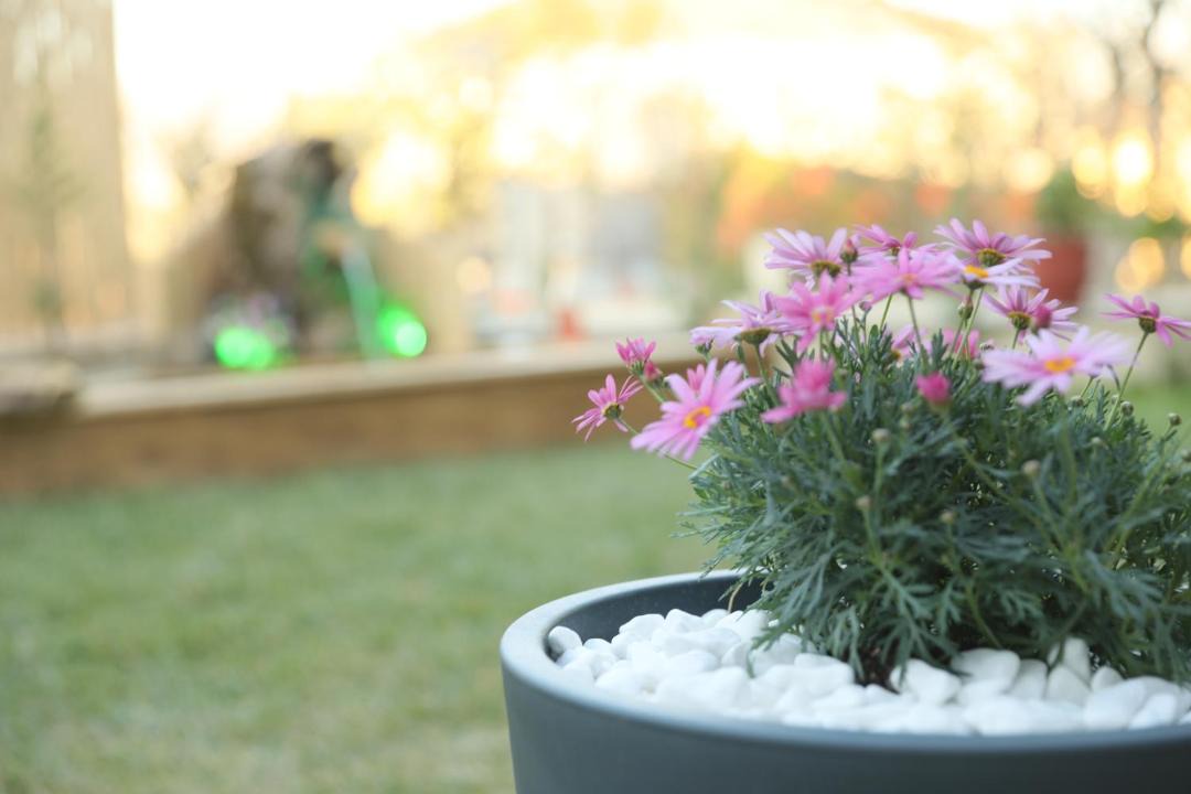 Photo of Others in Orestida