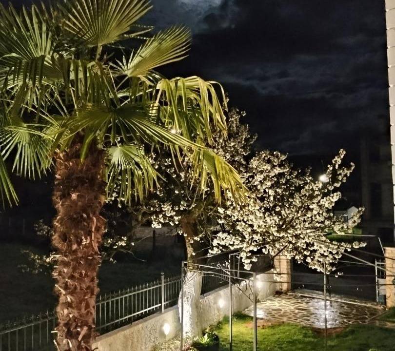 Photo of Others in Ioannina