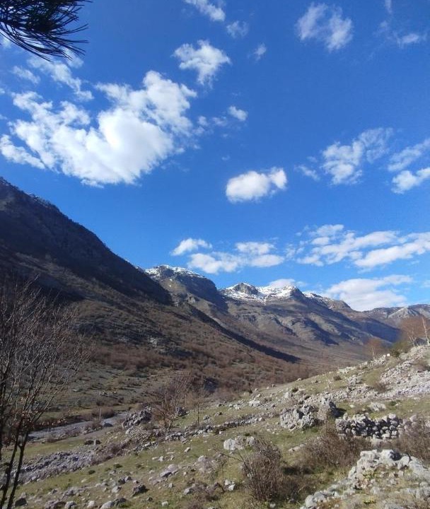 Photo of Others in Shkoder County