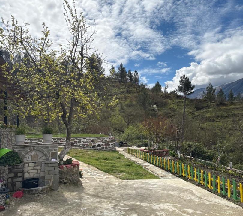 Photo of Others in Sinje