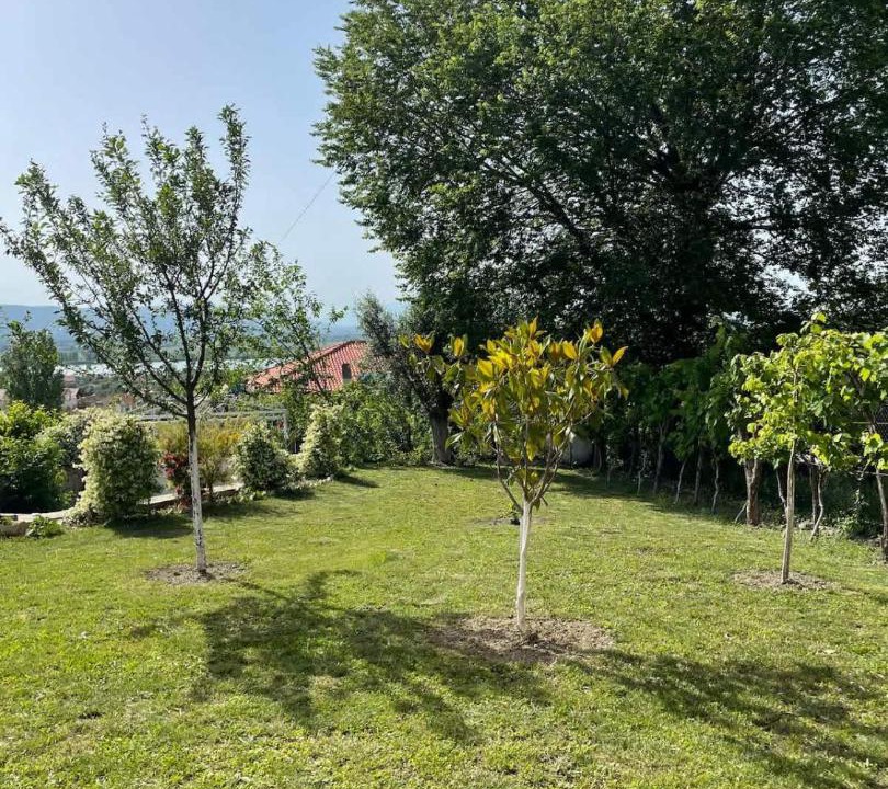 Photo of Others in Sakës