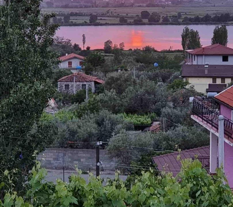 Photo of Others in Sakës