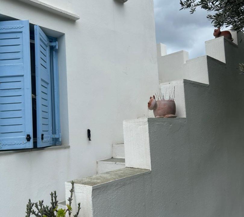 Photo of Others in Platis Gialos