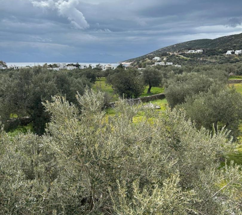 Photo of Others in Platis Gialos