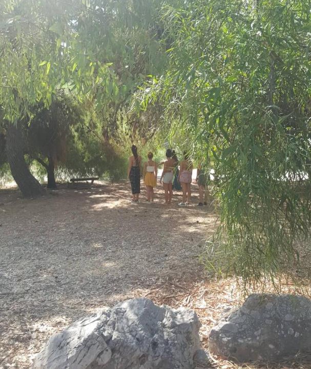 Photo of Others in Katakali