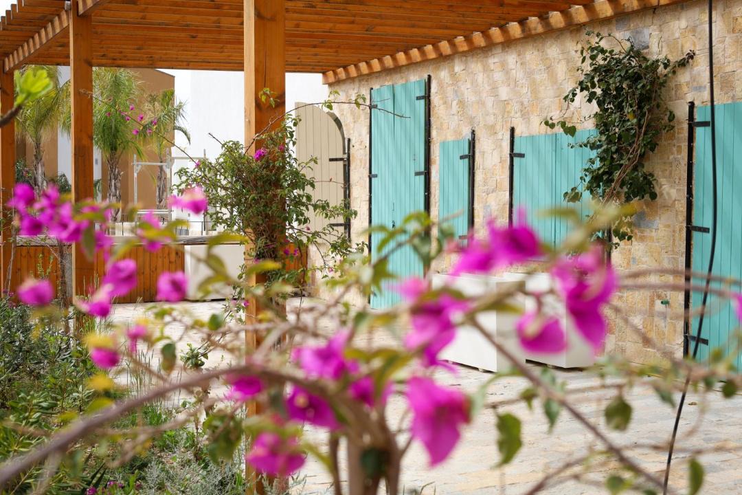 Photo of Others in Dhermi