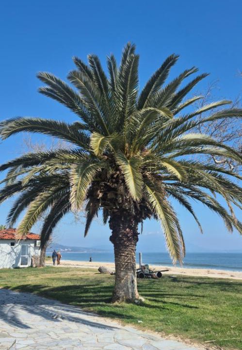 Photo of Others in Asprovalta