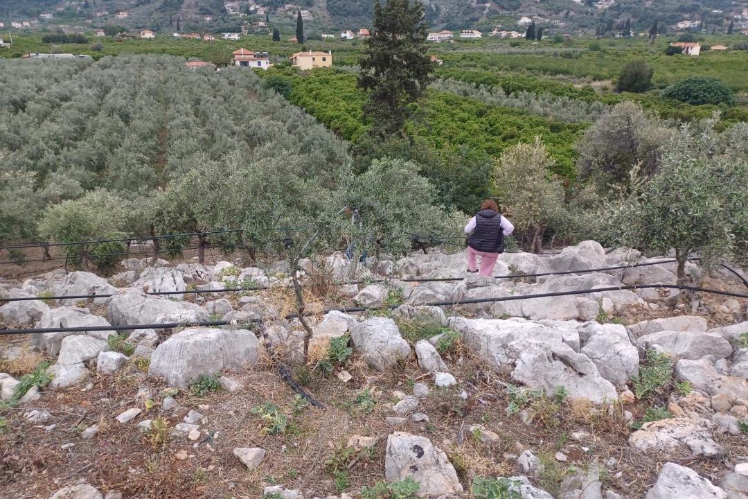 Photo of Others in Melissopetra