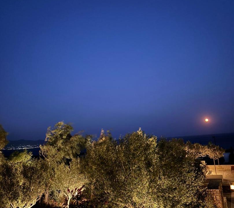 Photo of Others in Antiparos
