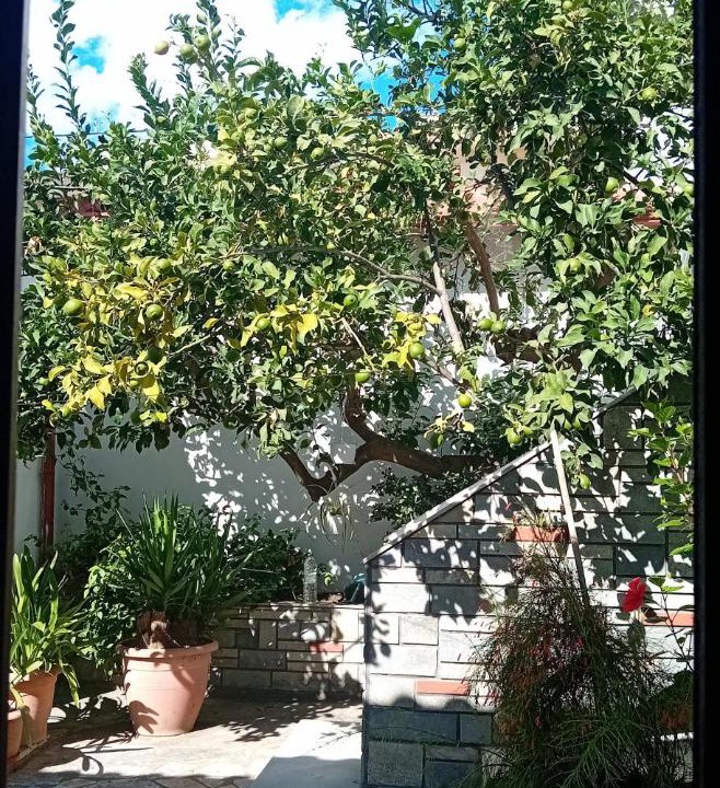 Photo of Others in Ouranoupoli
