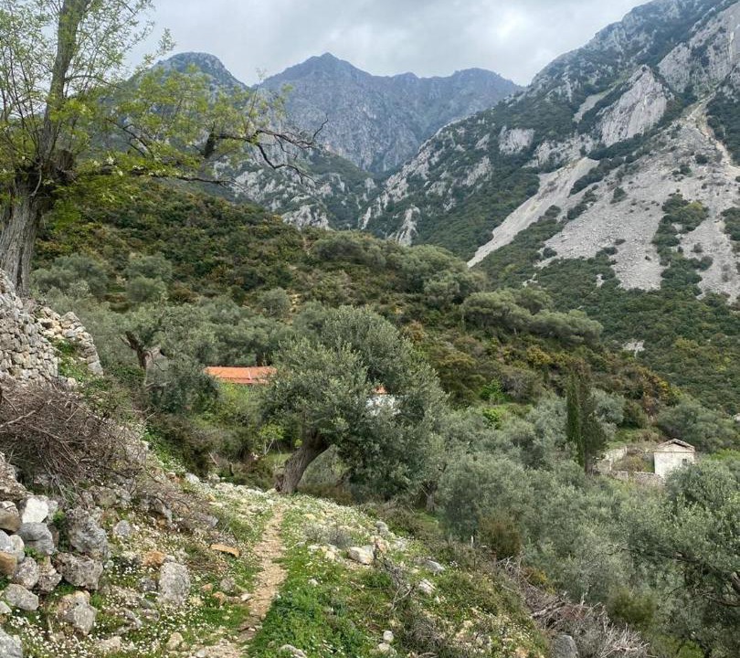 Photo of Others in Himare