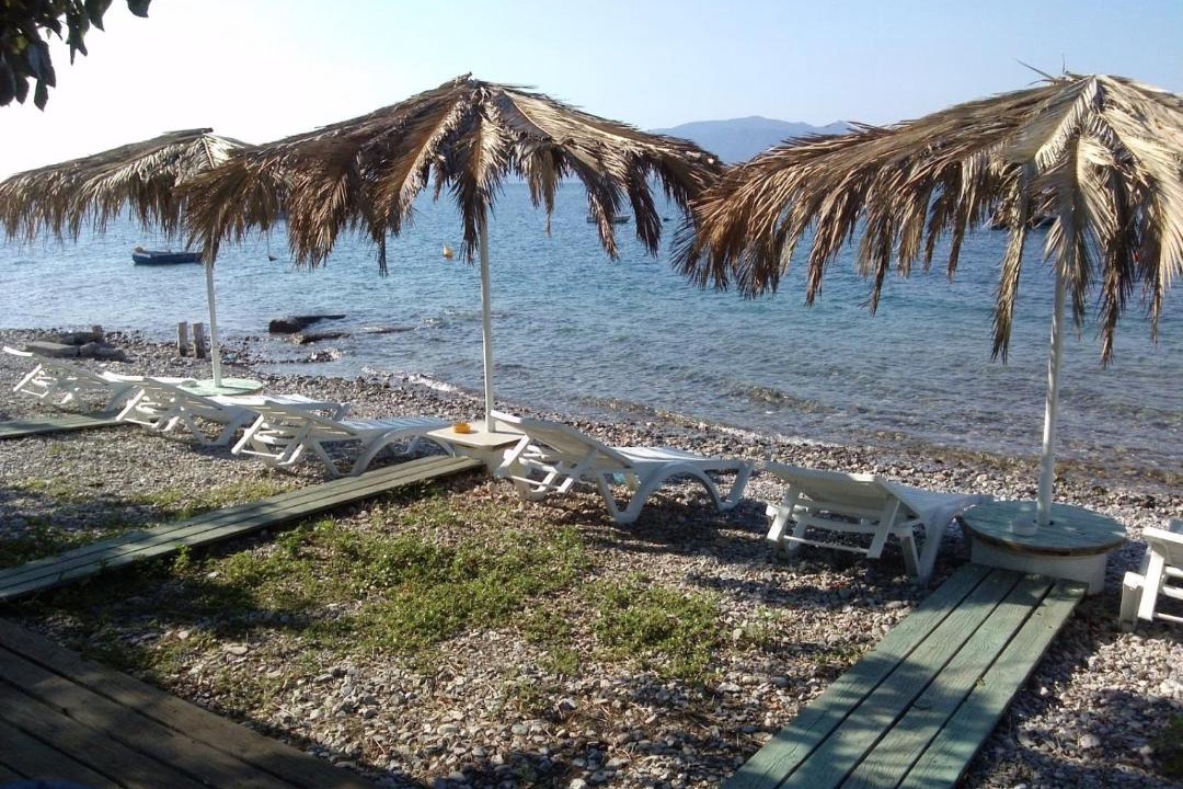 Photo of Others in Lichada