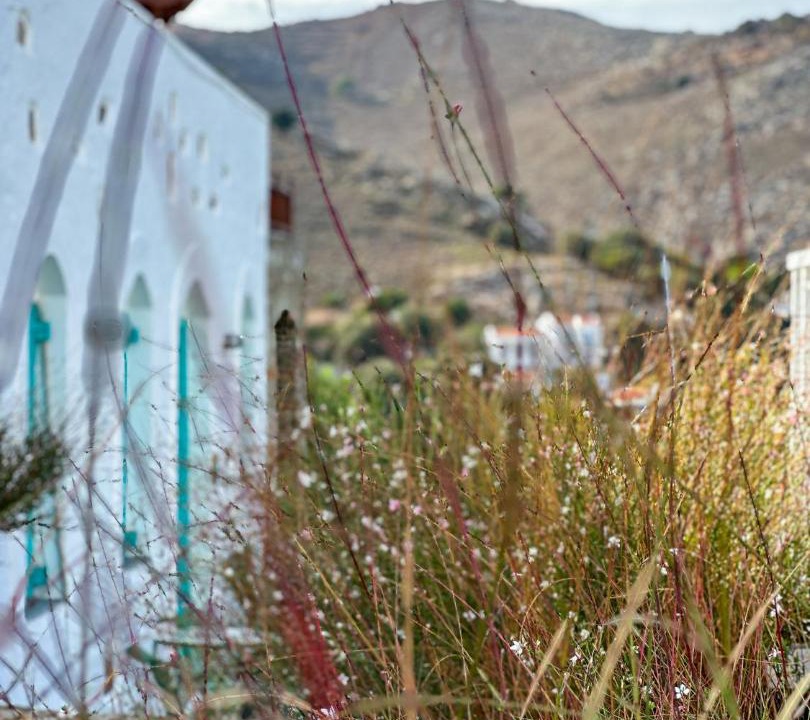 Photo of Others in Symi