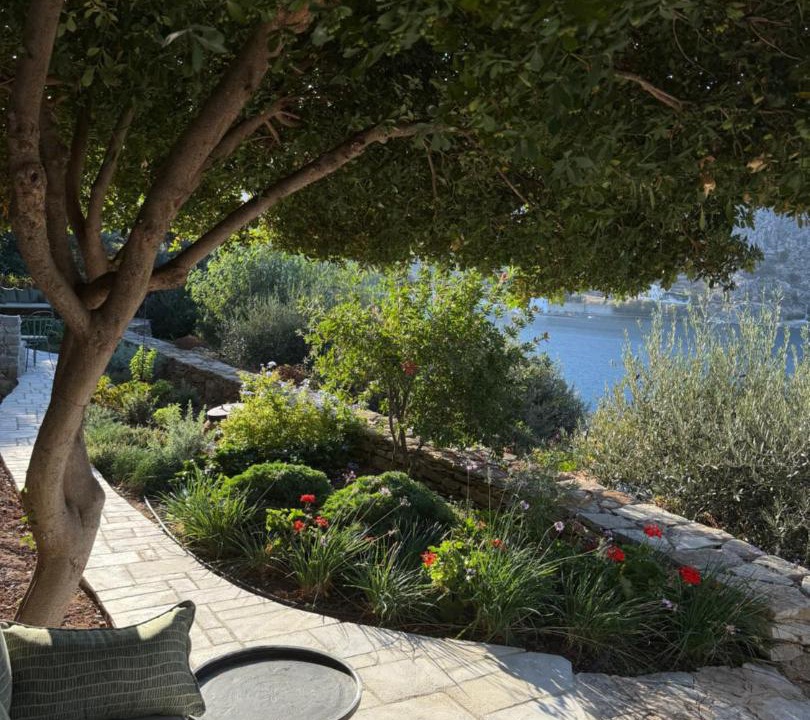 Photo of Others in Symi