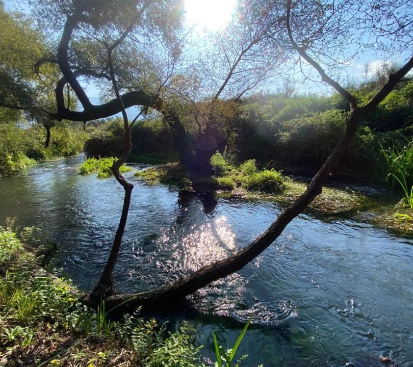 Photo of Others in Orikum
