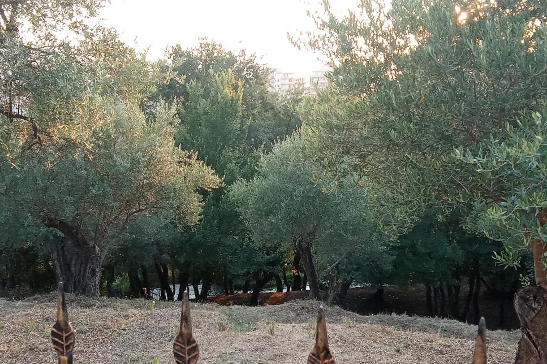 Photo of Others in Orikum
