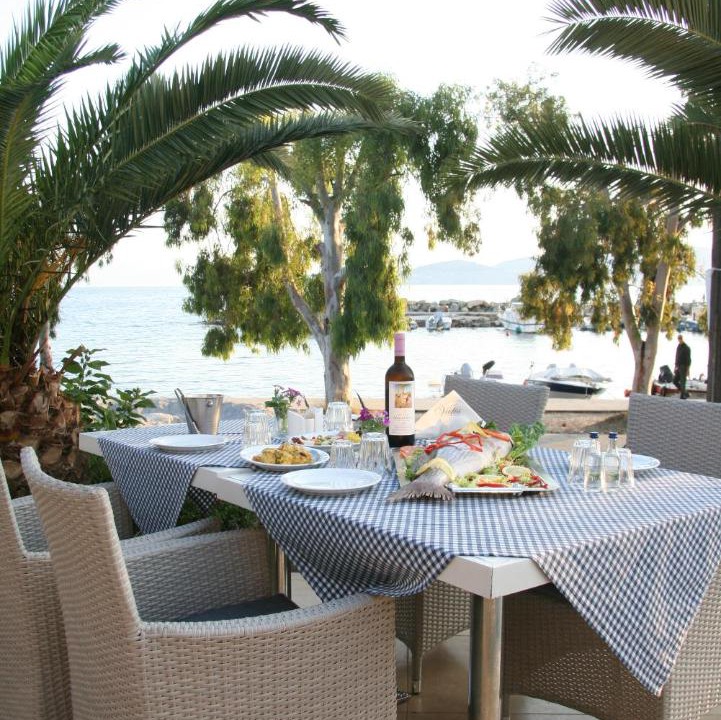 Photo of Others in Agria
