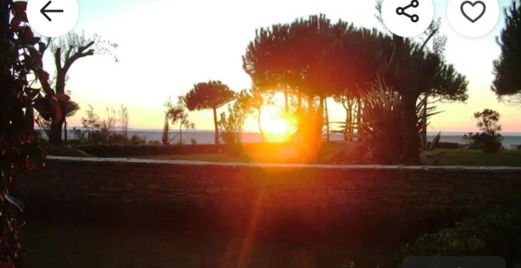 Photo of Others in Ishem