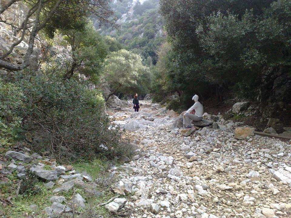 Photo of Others in Patitiri