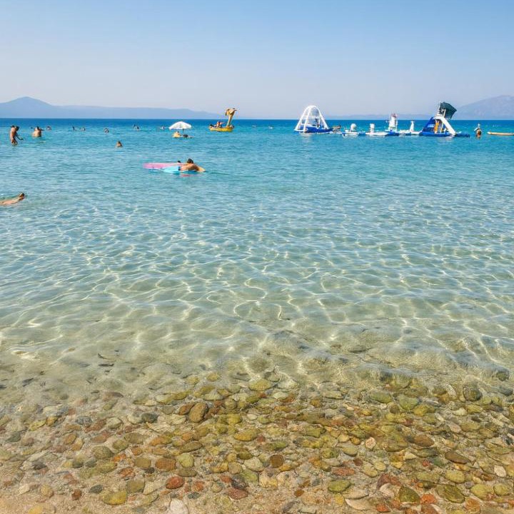 Photo of Others in Chalcis