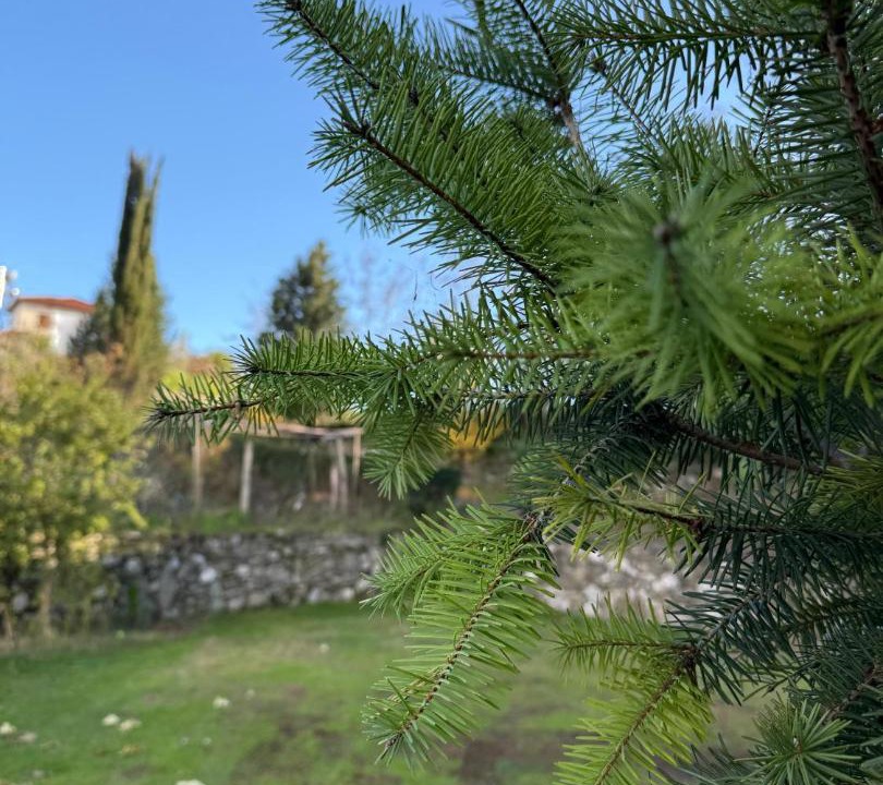 Photo of Others in Elbasan