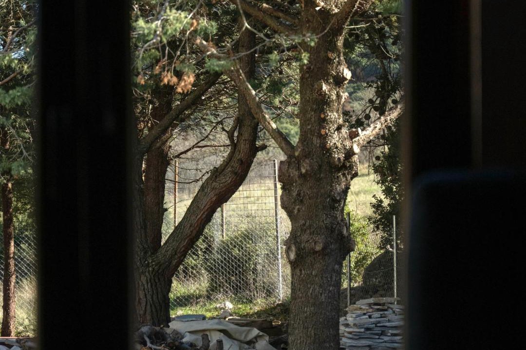 Photo of Others in Arachova
