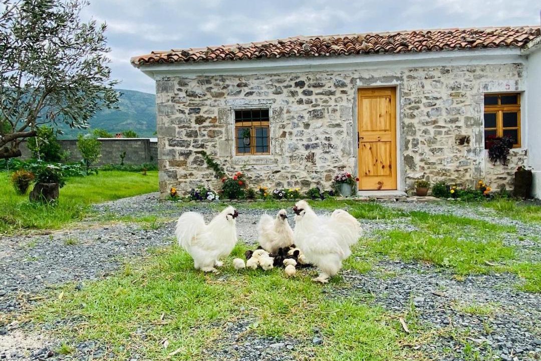Photo of Others in Sakës