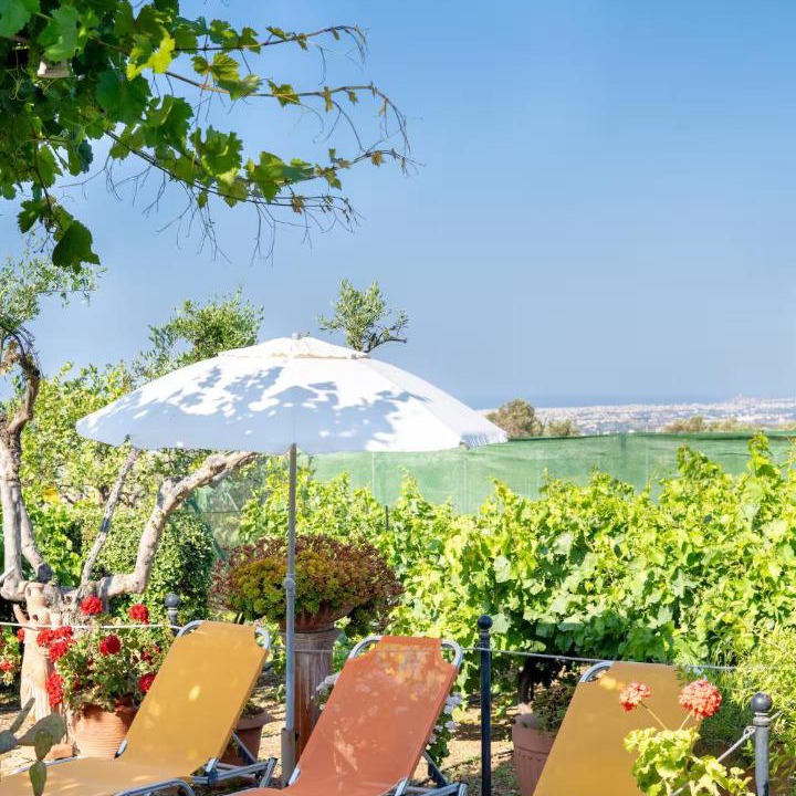Photo of Others in Tilisos