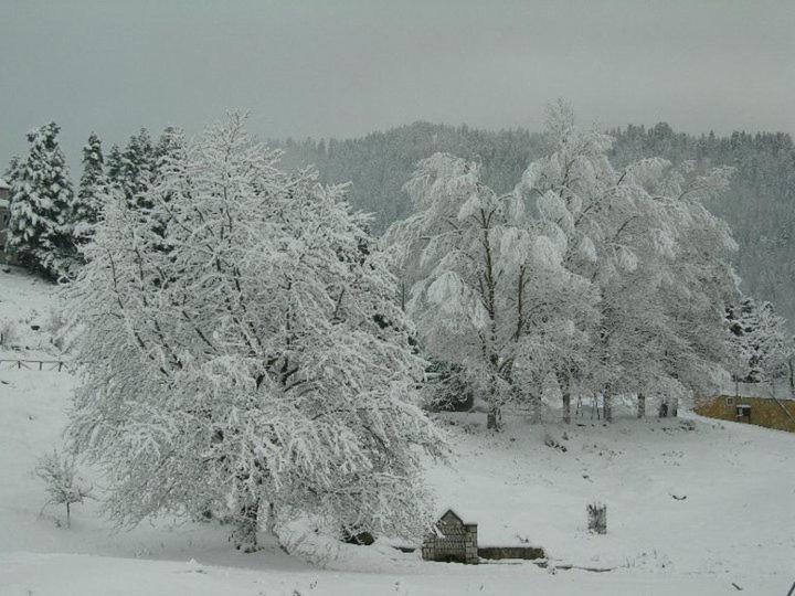 Photo of Others in Neraidochori