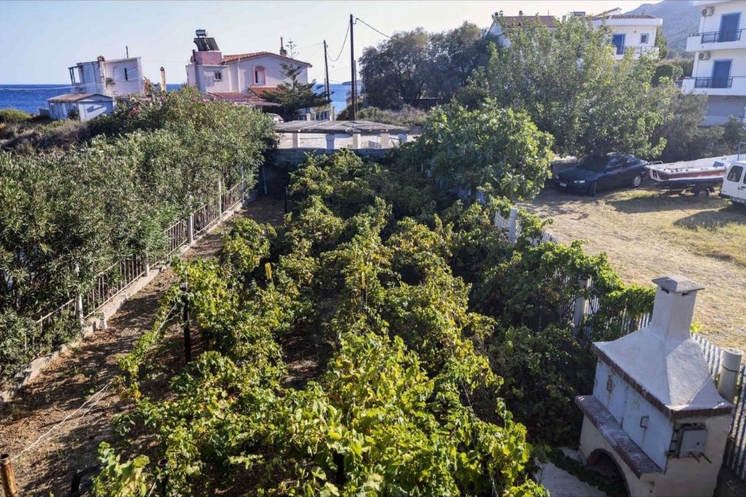 Photo of Others in Ikaria