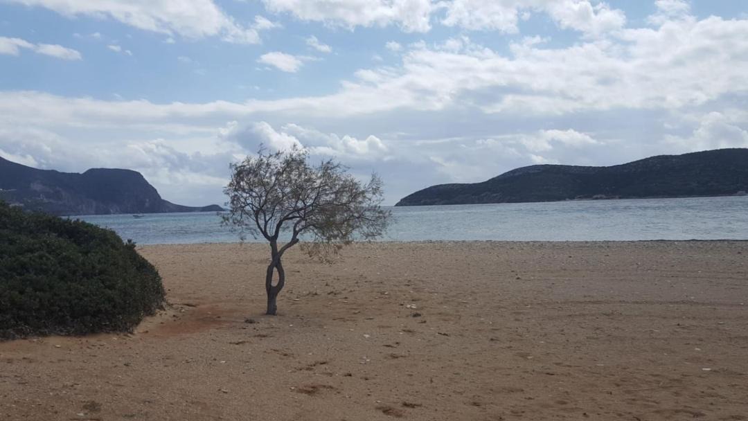 Photo of Others in Antiparos