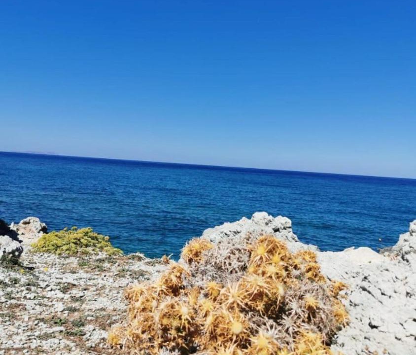 Photo of Others in Karpenisi