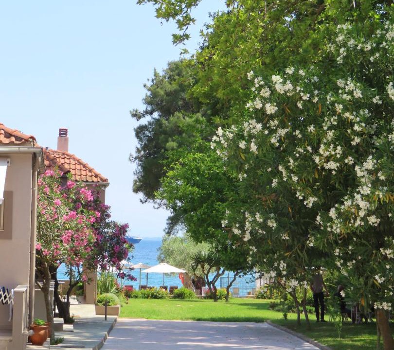 Photo of Others in Thasos Town