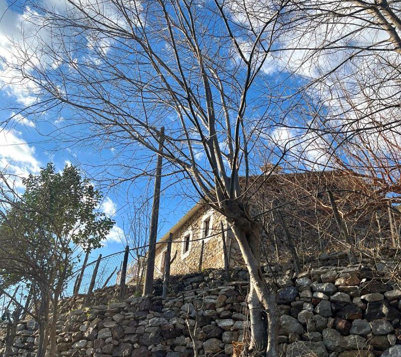 Photo of Others in Sakës