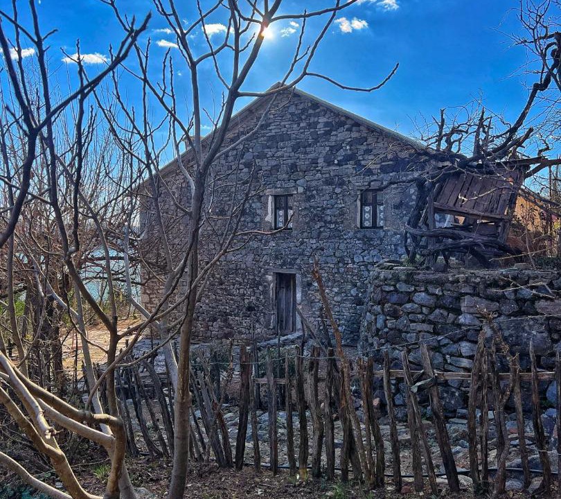 Photo of Others in Sakës