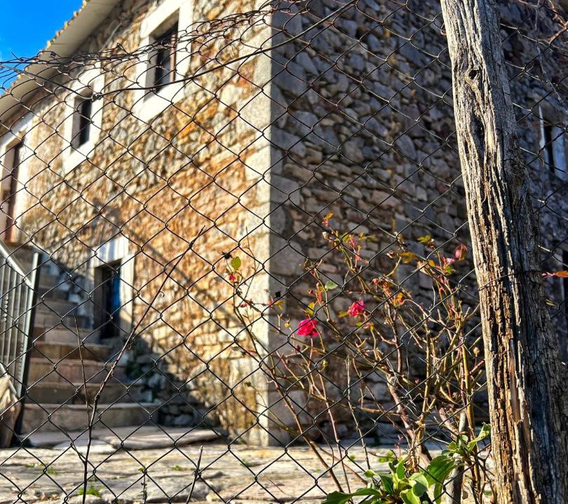 Photo of Others in Sakës